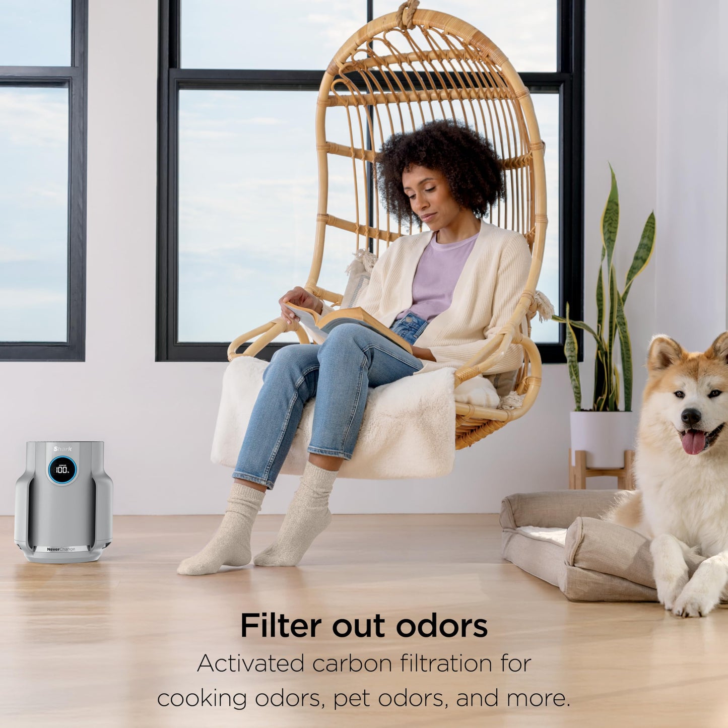 Shark NeverChange Air Purifier Compact Pro with Long-lasting HEPA Exceeding Filtration, For Pet Dander, Dust, Smoke, Allergens, Up to 250 sq. ft. for Bedroom, Home Office, Dorm, HP071BRN (2025)